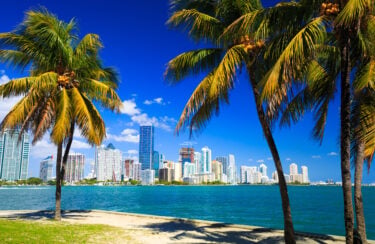 Jet Charter View of a city skyline from a sandy beach with palm trees framing the vibrant blue sky and clear water on a sunny day, perfect for travelers who prefer Private Jet Charter. Jetvia