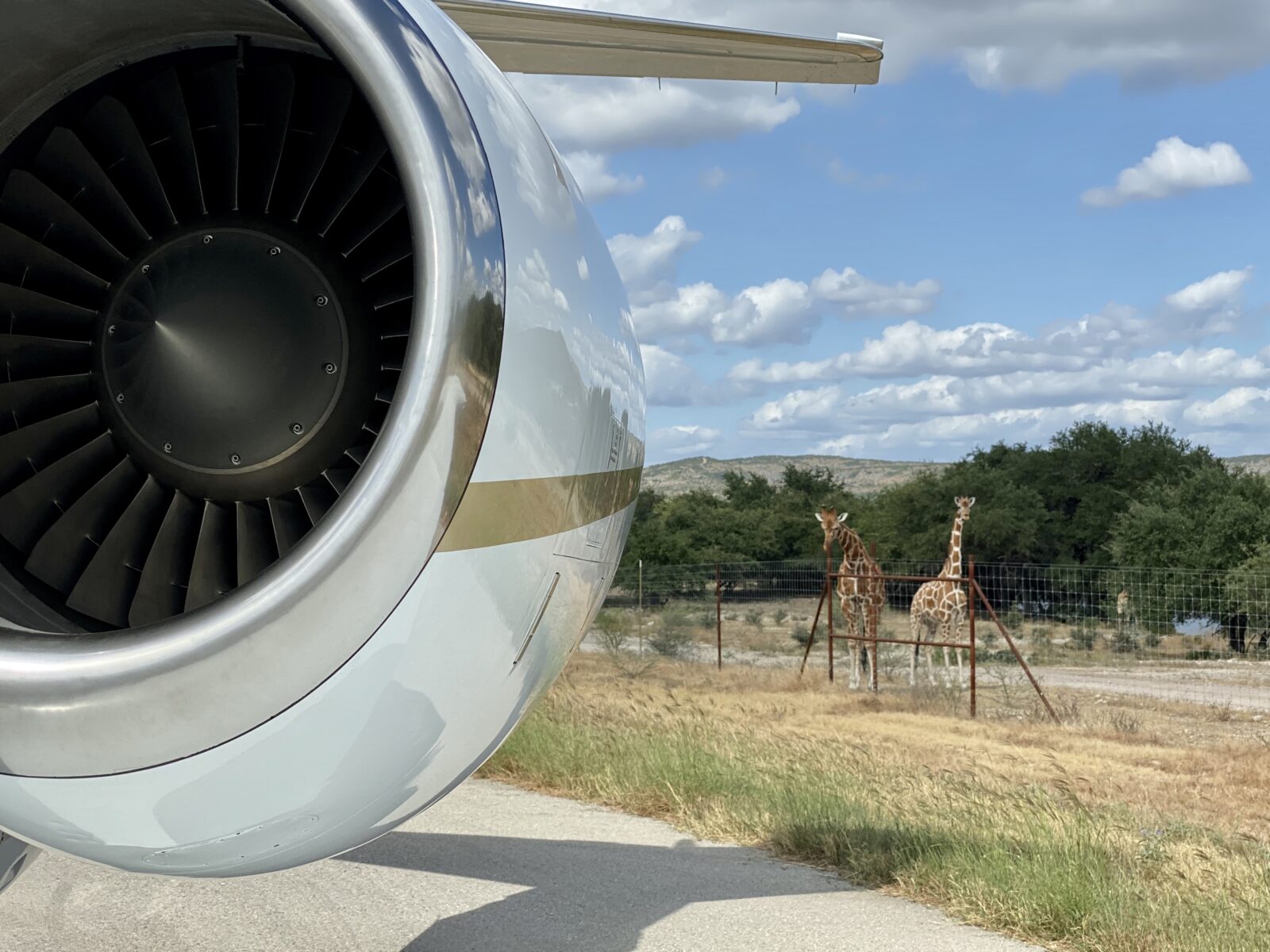 Jet Charter A close-up photo of a jet engine on the left side, with two giraffes grazing near a fence in the background on the right. The scene, set under a partly cloudy sky with open grassland and trees in the distance, captures unique experiences blending wildlife and aviation in one frame. Jetvia